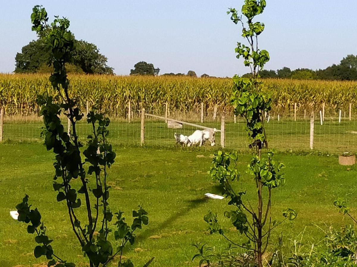 De Vrije Wei Broekland (Gelderland) Esterno foto