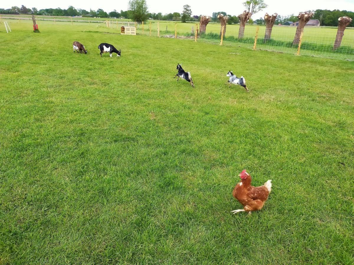 De Vrije Wei Broekland (Gelderland) Esterno foto